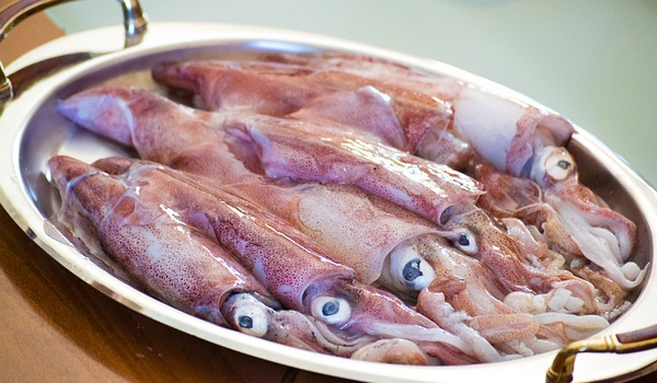 Squid Suppliers in Tiruchengode