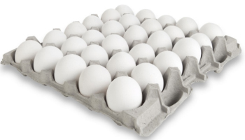 Hatching Eggs Suppliers