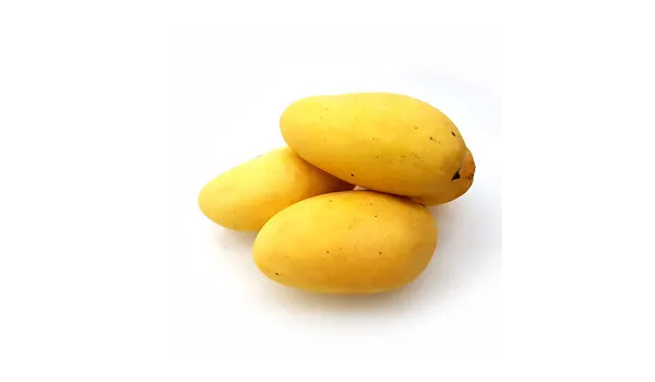 Banganapalli Mangoes Suppliers in Manachanallur