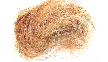 Coir Fibre Suppliers