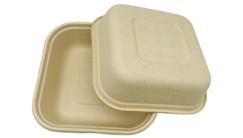 Sugarcane Bagasse Suppliers