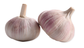 Single Clove Garlic Suppliers in Vadalur