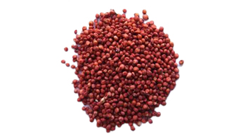 Sorghum Meal Suppliers