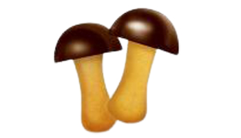 Mushroom Cookies Suppliers