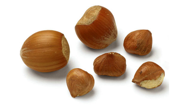 Hazelnuts Suppliers