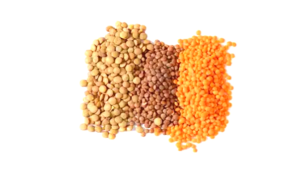 Organic Pulses Suppliers in Parvathipuram