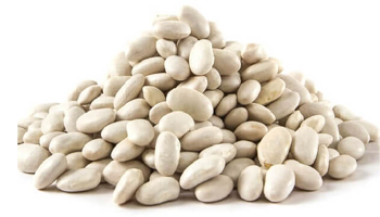 Lima Beans Suppliers