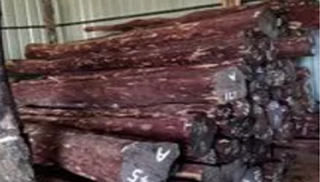 Red Sandalwood Suppliers