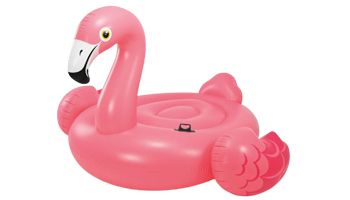 Pool Toys Suppliers