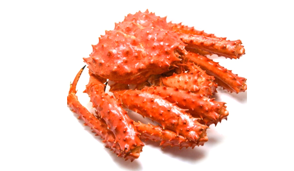 King Crab Suppliers