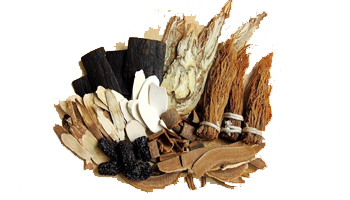 Ayurvedic and Herbal Extracts Suppliers in Mhaswad