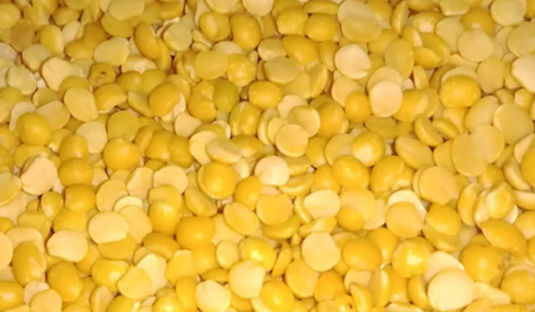 Toor Dal Suppliers in Chennai