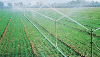 Sprinkler Irrigation System Suppliers