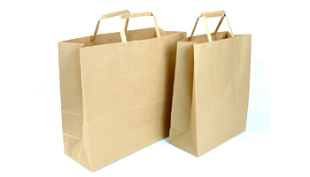 Paper Carry Bags Suppliers in Jaipur