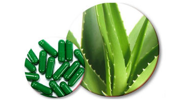 Aloe Vera Capsules Suppliers