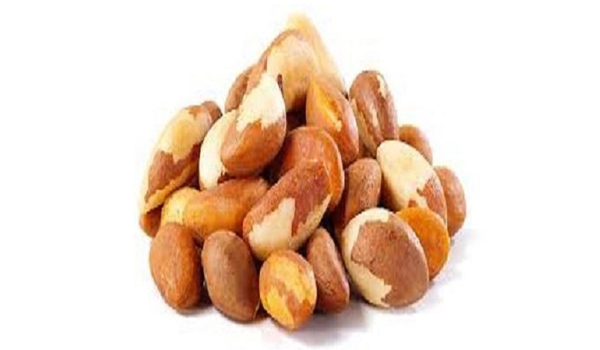 Brazil Nuts Suppliers in Panruti