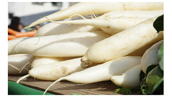 Radish Suppliers in Thirupuvanam