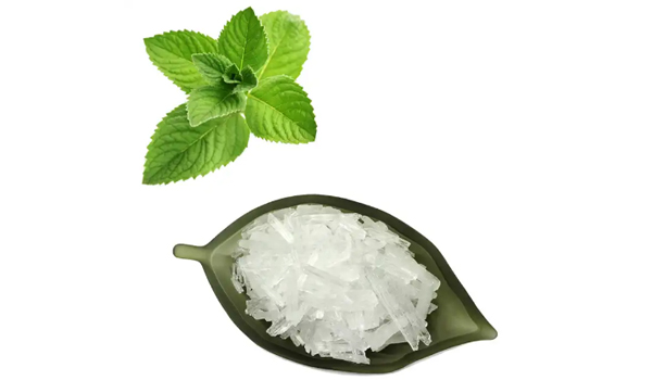 Menthol Suppliers