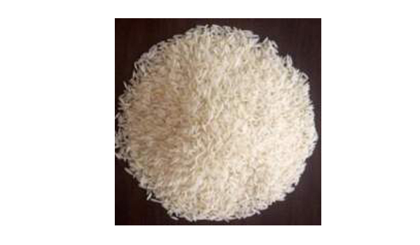 Joha Rice Suppliers in Pinjore