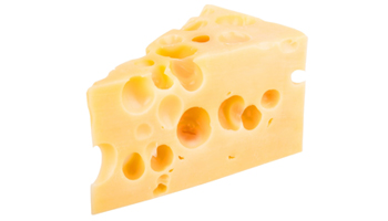 Cheese Suppliers in Rajapalayam