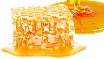 Raw Honey Suppliers in Shenkottai