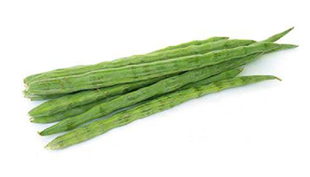 Drumstick Vegetable Suppliers in Unjha