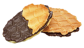 Chocolate Cookies Suppliers