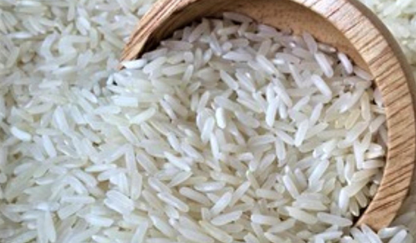 1121 Basmati Rice Suppliers in Niwai