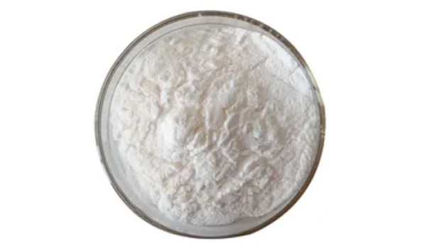 Chloroxylenol Suppliers