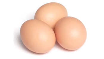 Kadaknath Chicken Egg Suppliers