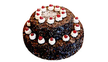 Black Forest Cake Suppliers