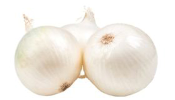 White Onion Suppliers in Vijapur