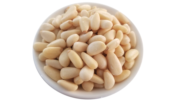 Pine Nuts Suppliers