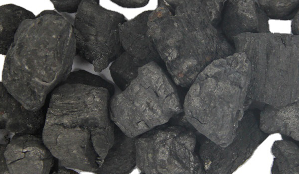 Cooking Coal Suppliers in Surat