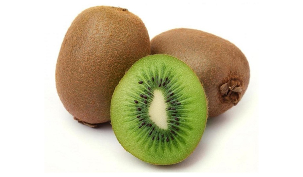 Kiwi Suppliers