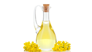 Canola Oil Suppliers in Malaysia