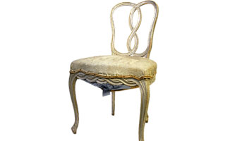 Dining Chairs Suppliers in Vijainagar