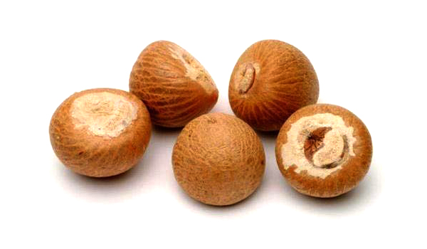 Areca Nut Suppliers in Tinsukia