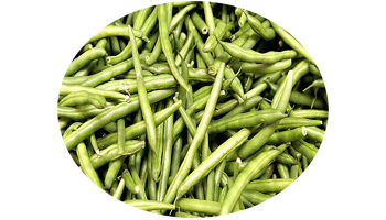 Green Beans Suppliers