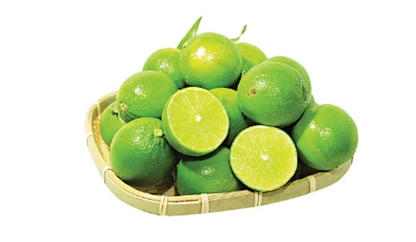 Fresh Lemon Suppliers in Sihor