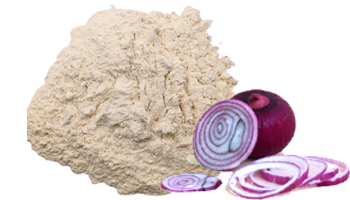 Onion Powder Suppliers in Navsari