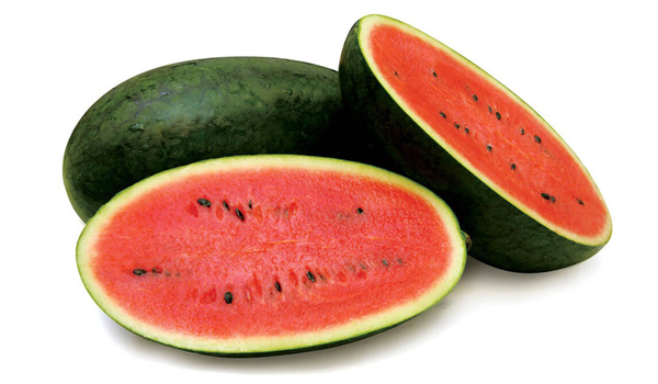 Watermelon Suppliers in Shendurjana