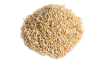 Quinoa Suppliers