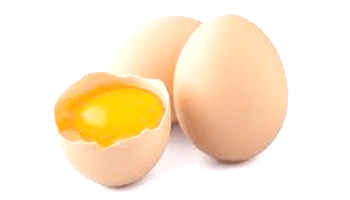 Liquid Egg Suppliers