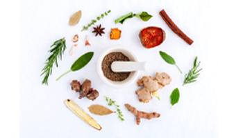 Natural & Pure Herbs Suppliers in Ahmedabad