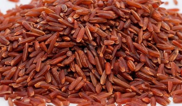 Poongar Rice Suppliers