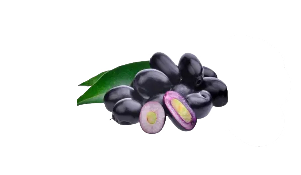 Jamun Suppliers