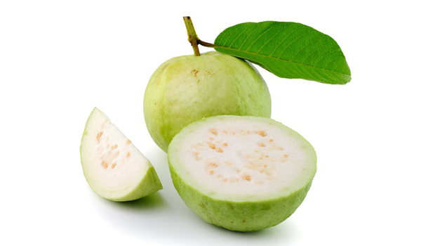 Guava Suppliers in Sivaganga