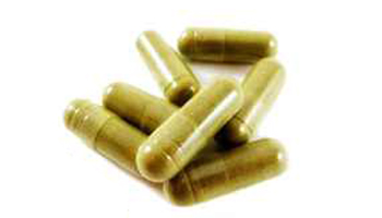 Bacopa Monnieri Capsules Suppliers