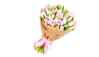 Tulip Bouquet Suppliers